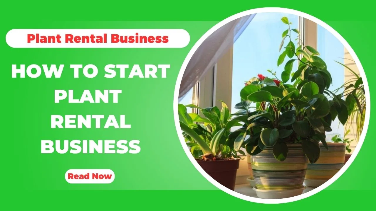 How To Start A Plant Rental Business