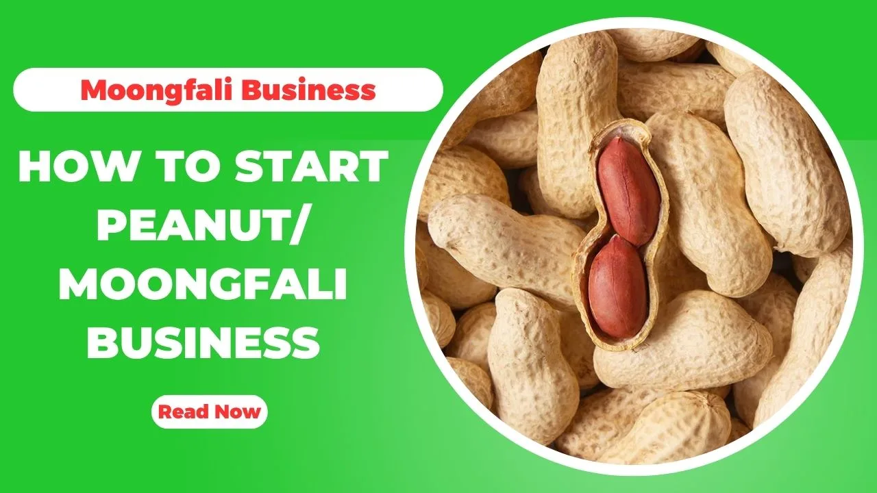 How To Start Peanut Business In India