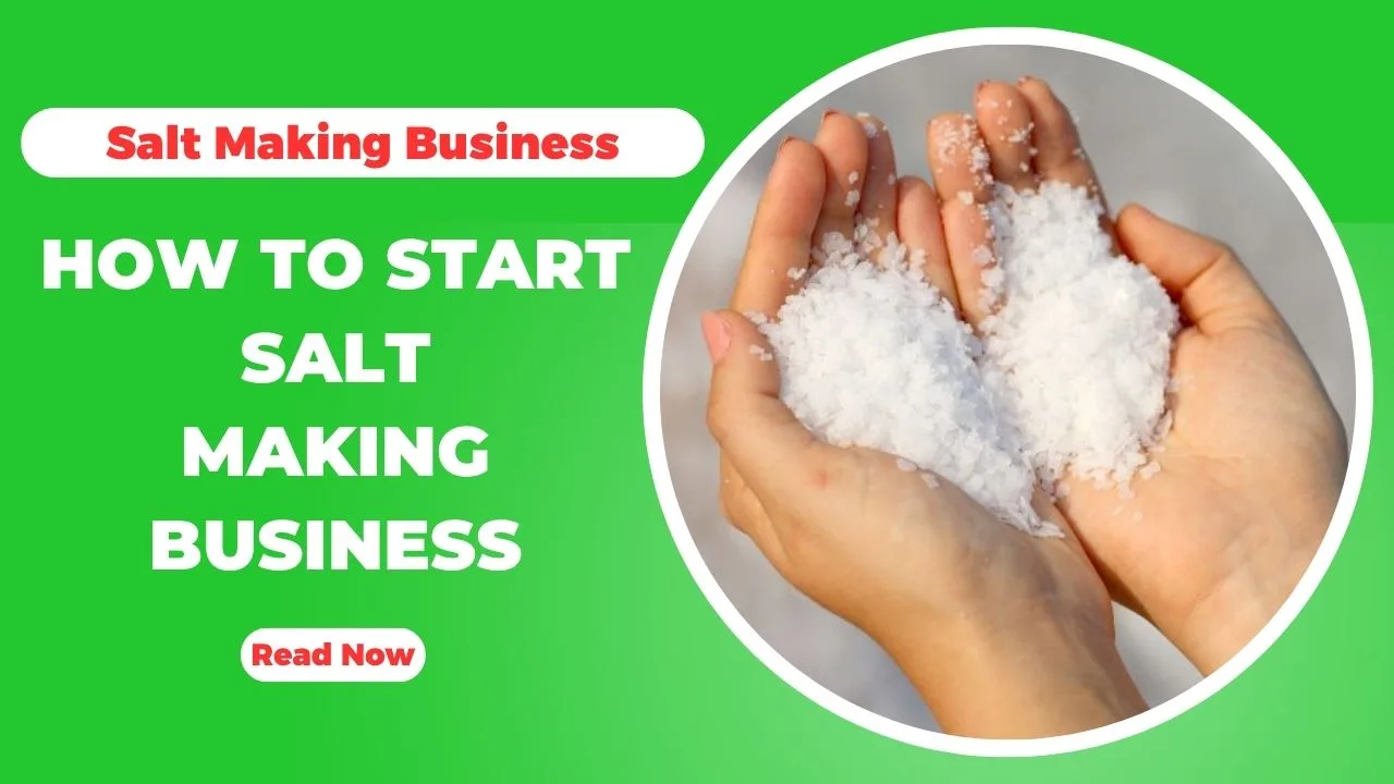 How To Start Salt Making Business